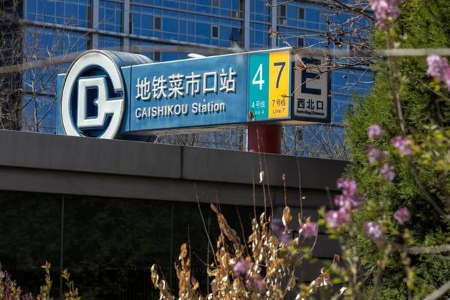 快来打卡广阳谷：免费“六边形”乐园