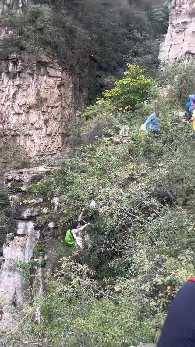 女子徒步滑落悬崖抓住树枝捡回命
