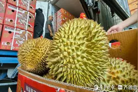 “榴莲自由”！价格近乎“腰斩” 批发价低至十几元每斤图片