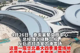 盘活原泰山文旅健身中心，王思聪来签约的“寰聚”如何华丽变身？图片