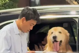 热点｜推销员认真跟狗子做产品介绍 主人：没忍心上前打扰图片