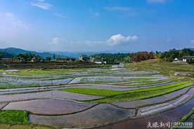 待到秋来粮满仓——毕节市抓实春耕生产保粮食安全图片