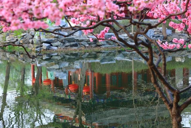 漫谈圆明 | 我和圆明园的十余年