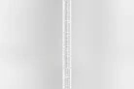 报名啦！学技能就好业，长沙这些机构被认证“靠谱”图片