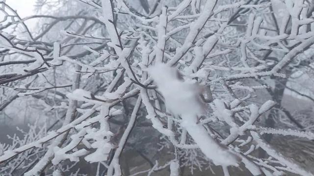 融水2026第一场雪来啦！你的朋友圈被刷屏了吗？