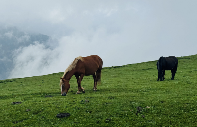 来忻州，遇见五台山的N种美……