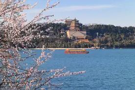 千万别错过💐 北京40余处踏青赏花经典片区等你来~图片