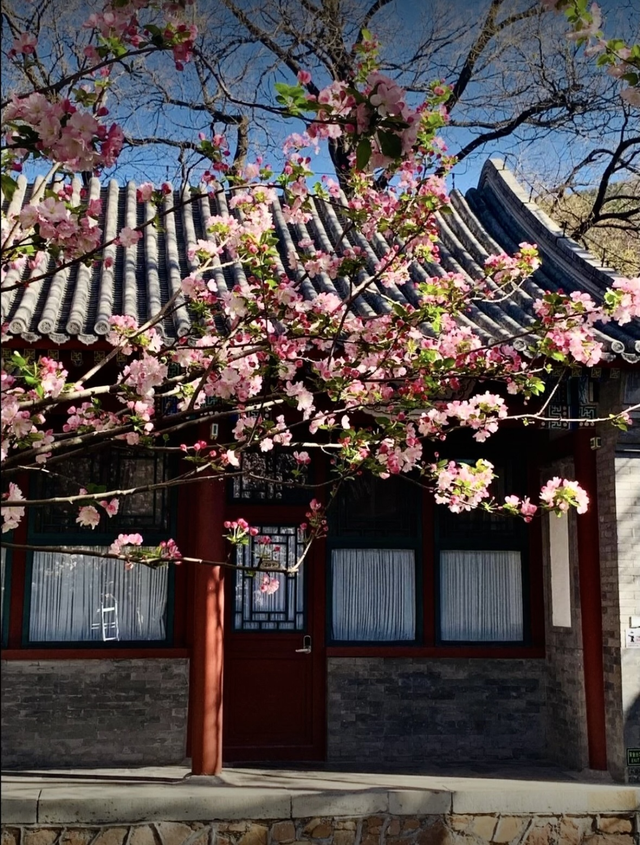 国庆中秋住哪儿！三大主题「北京宝藏酒店」藏着城市的“另一面”