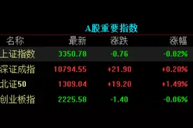 收盘｜上证指数跌0.02% AI穿戴概念股掀涨停潮图片