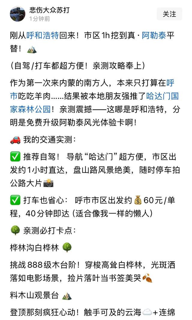 这个夏天，23℃的呼和浩特，热度突破100度！