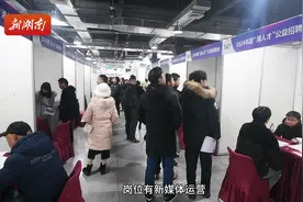 湖南省“4×4”优势产业链群暨省重点产业企业专场招聘会举行图片