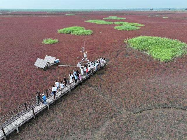 盘锦：书香公交开启生态阅读新旅程