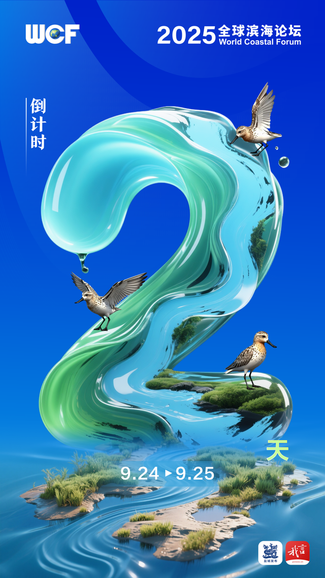 盐城24小时！每一秒都别错过
