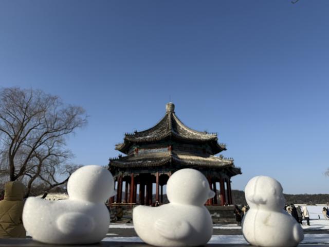 雪落颐和园：白雪镶金顶