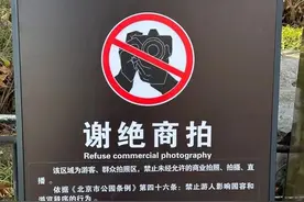 “公园明确禁止商拍”重塑禁忌边界方能美美与共图片