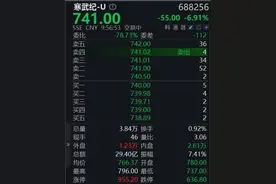 寒武纪2024年净亏损4.43亿元，股价早盘跌近7%图片