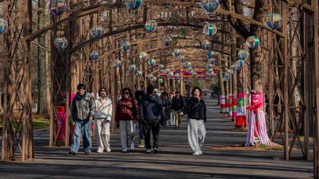 这么萌的树，谁能拒绝！