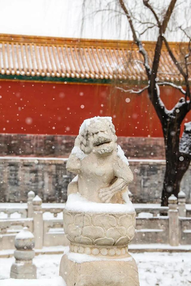 ❄❄❄瑞雪至 故宫雪景“大片”又上新了