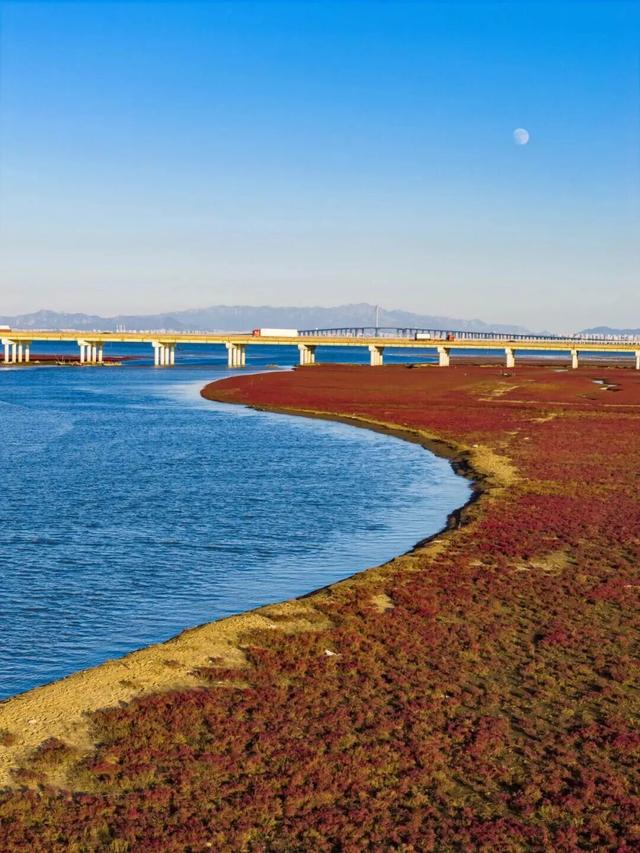 周末别宅了！青岛这5个宝藏地，现在去正好