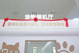 宠物上高铁，该支持吗？图片