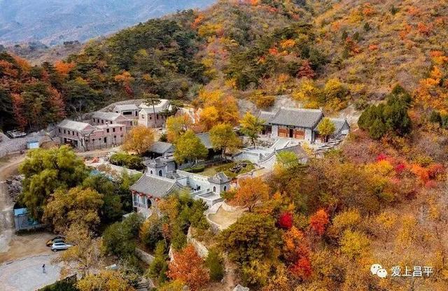 人少景美！北京这些古刹红叶正在最佳观赏期！