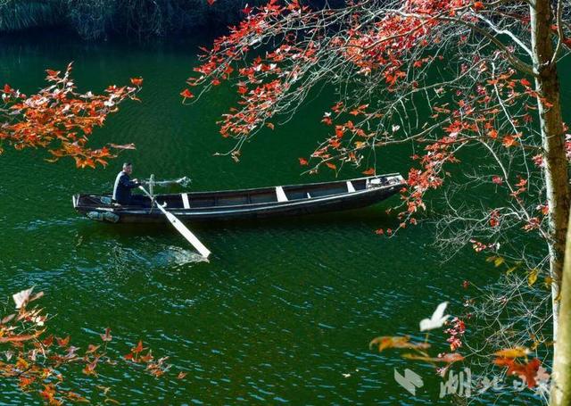 蕲春塔林的秋天，让人不愿离开