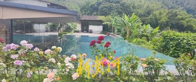 沉睡古村变身文旅新地标，泰康罗浮山下“耕”出新活力