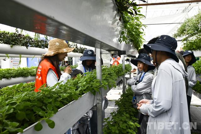 “多维度对话拉萨”：以研学解锁拉萨历史文化文明密码
