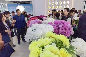 芍韵芬芳醉初夏！菏泽首届芍药赛花会太惊艳图片