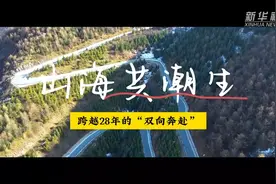 新春走基层｜山海共潮生——跨越28年的“双向奔赴”图片