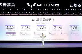 2025款五菱缤果上市，限时“一口价”5.38万元起图片
