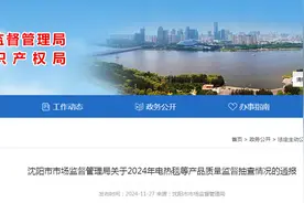 沈阳市市场监督管理局：3批次小家电产品不符合标准要求图片