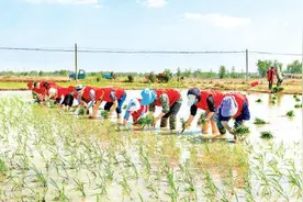 事多钱少压力大，乡镇年轻干部留不住，怎么办？图片