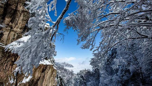 免费申领！白云山冰雪仙境邀您花式玩儿雪！