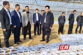 零陵区春季农业生产现场推进会召开图片