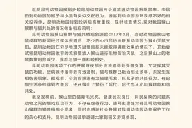 昆明动物园猴群与猫共处引争议，园方称计划将猫移出猴山图片