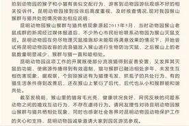 昆明动物园猴群与猫共处引争议，园方称计划将猫移出猴山图片