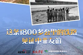 天天学习｜这条1800多公里的铁路见证中非友谊图片