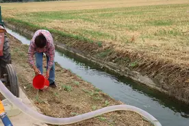 河南干旱持续，“浇水已花了500多元电费”图片