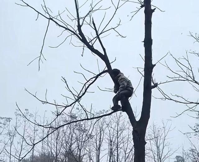 张家界的“野”心：把荒野求生50亿流量变成旅游“留”量