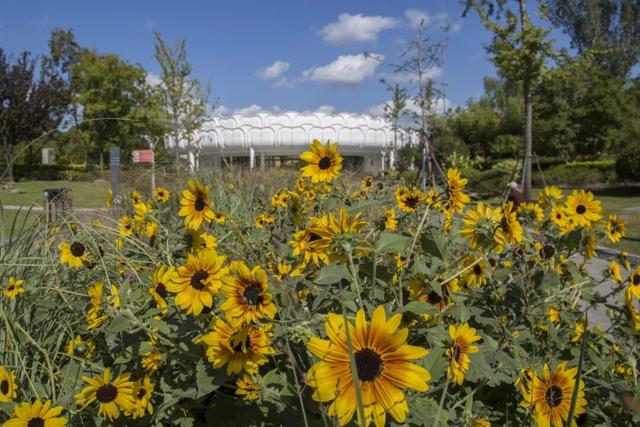 秋冬限定美景上线！快来长宁这个小镇打卡吧→