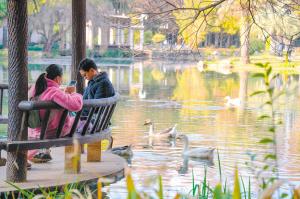 昆明冬日绿意暖