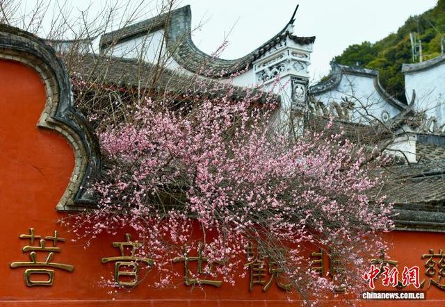 福州千年古刹梅香满枝