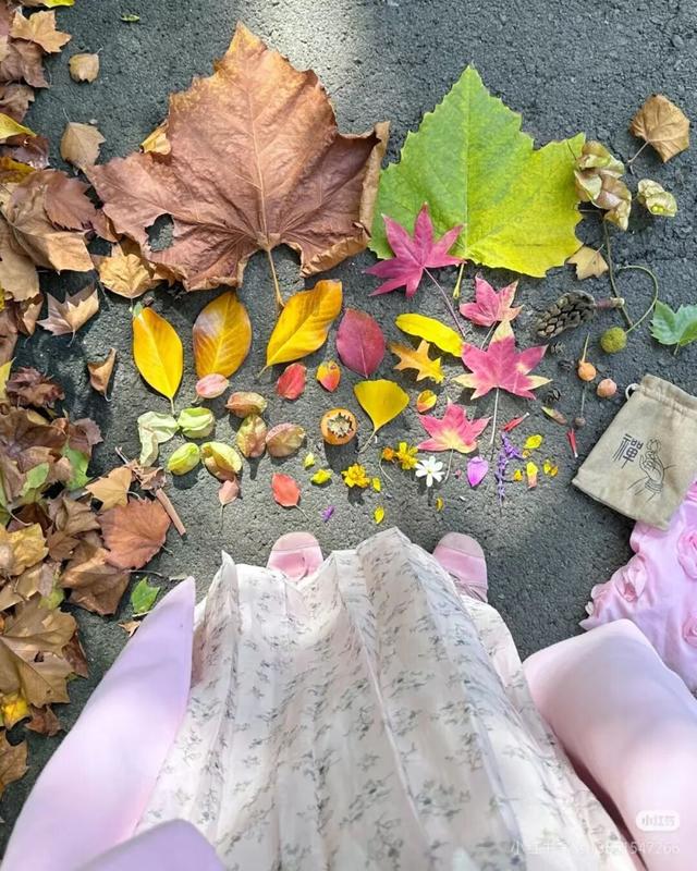 在淮安，寻找属于秋天的浪漫