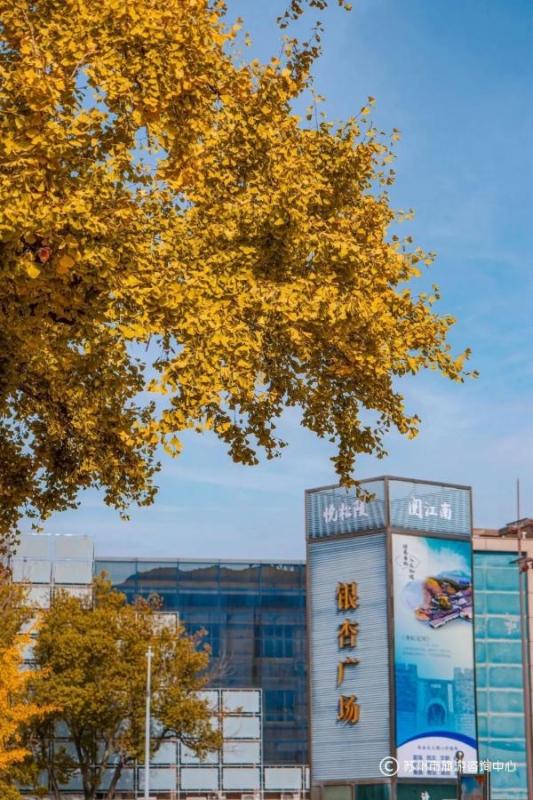 火上央视！苏州变身“黄金州”