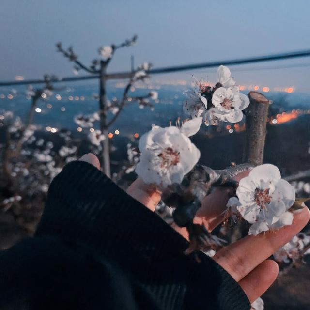 这些“微活瞬间”，是2025年的幸福具象