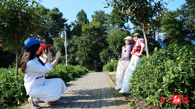 双节期间，石门这些地方火了...