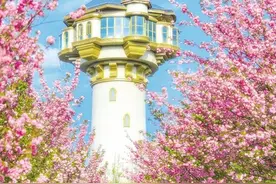 上春山 赏春花图片