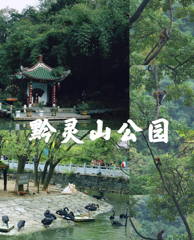 丽水直飞贵阳！购票攻略→