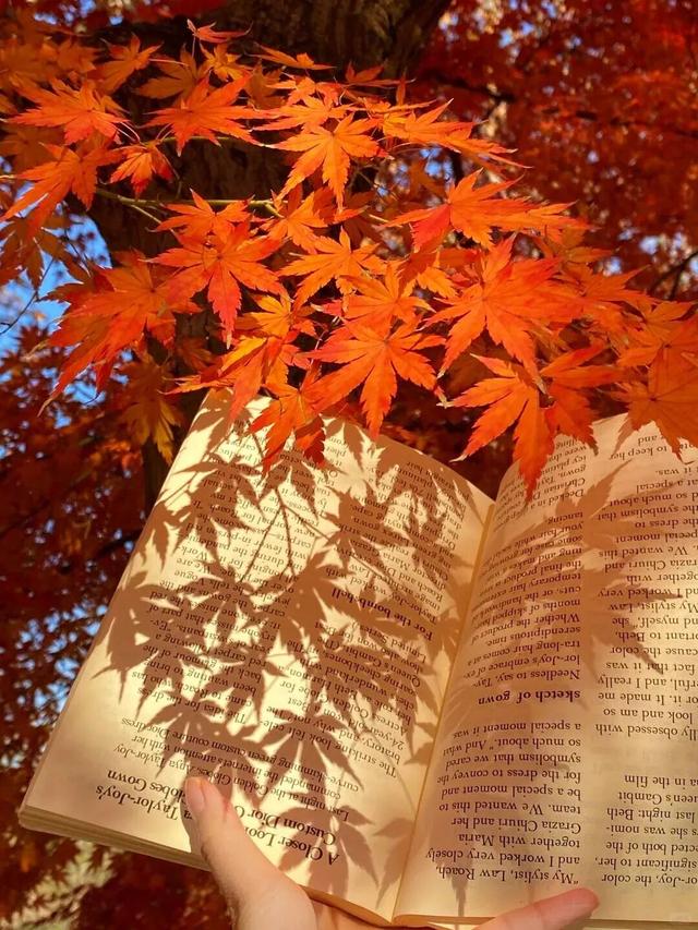 一秒入秋！接下来的江西是这样的…